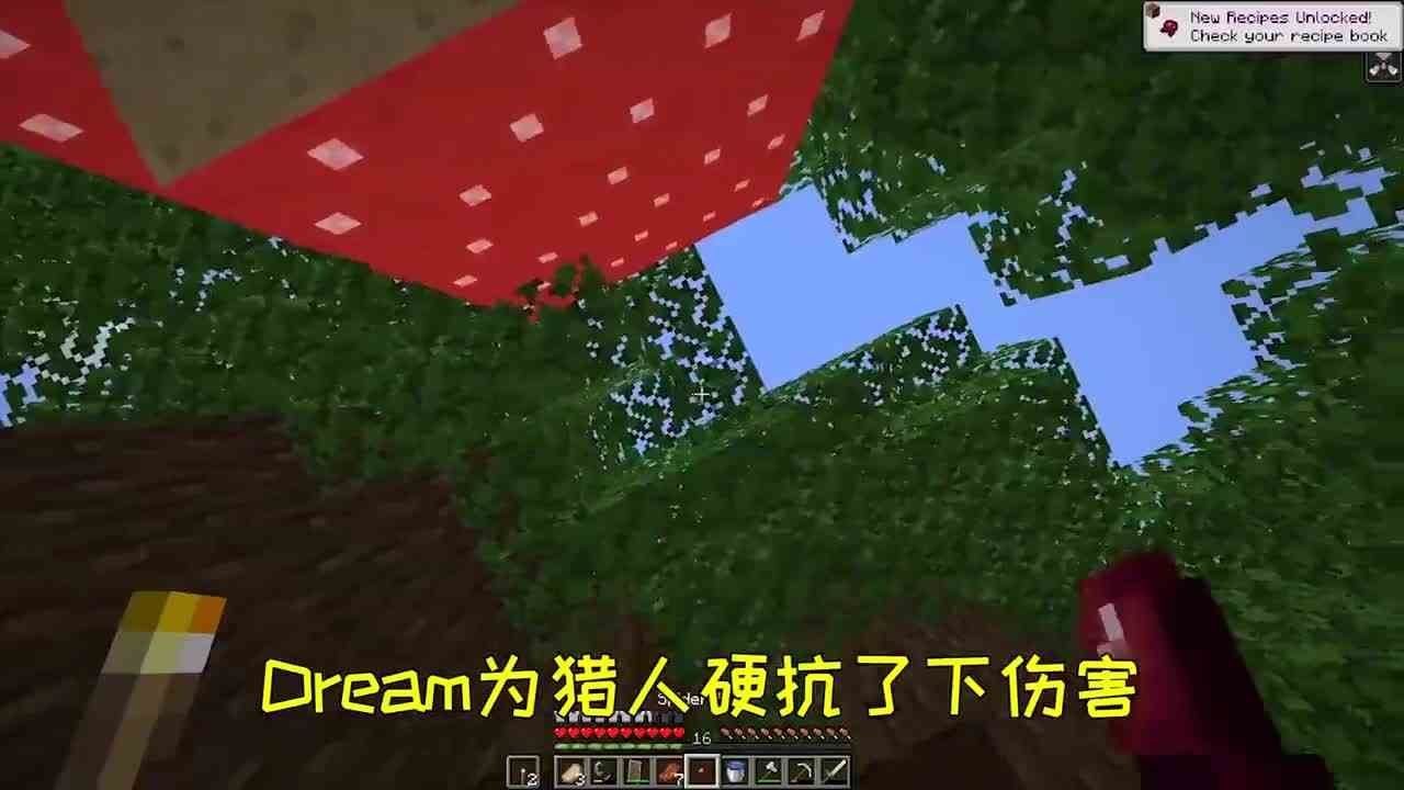 我的世界：dream学会七十二变成为小狗，身段不灵活惨遭滑铁卢!
