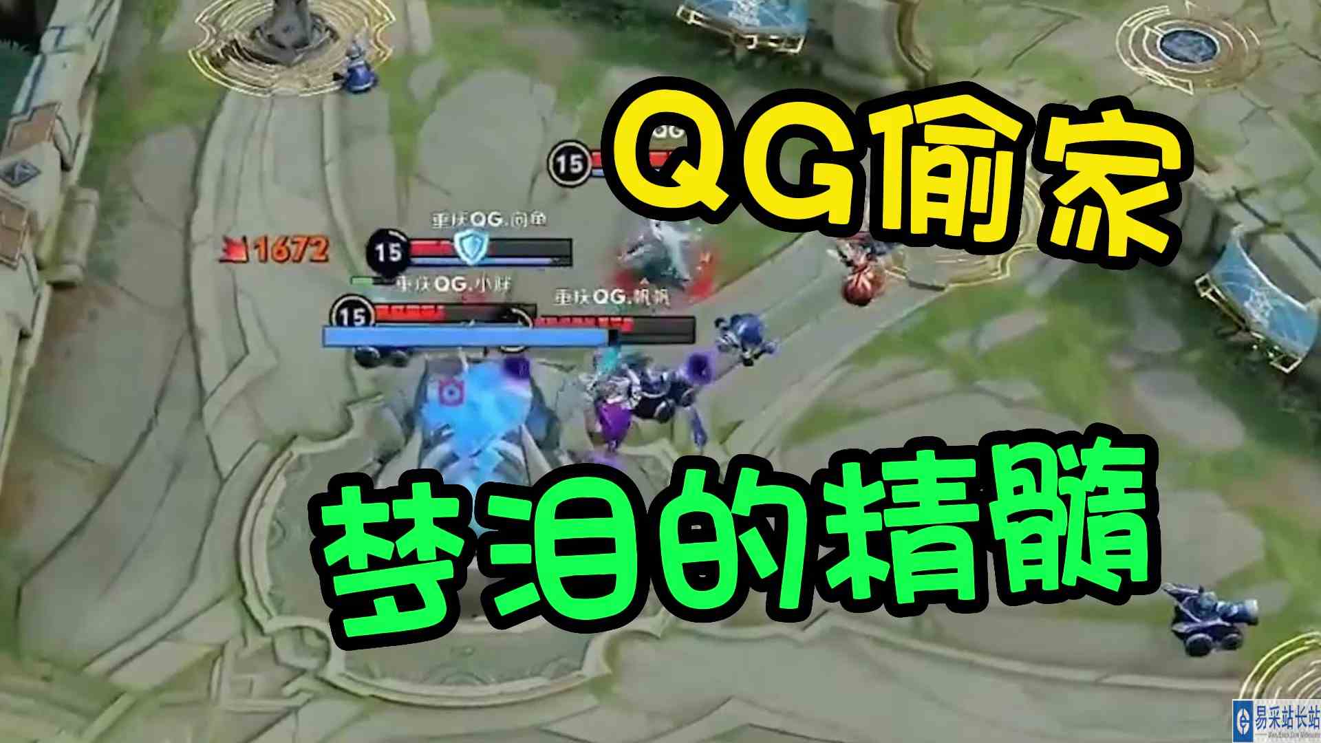必看！偷家又来了？