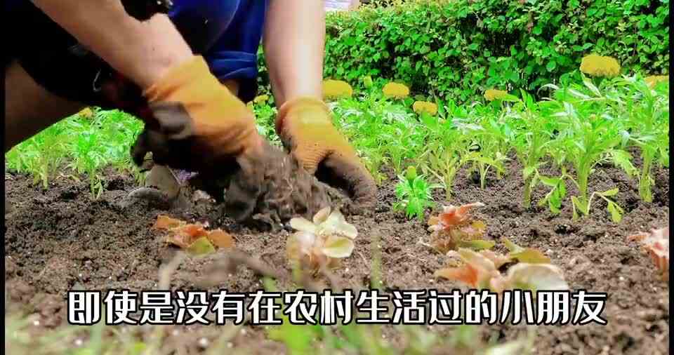 中国人种族buff，最后一个你绝对想不到