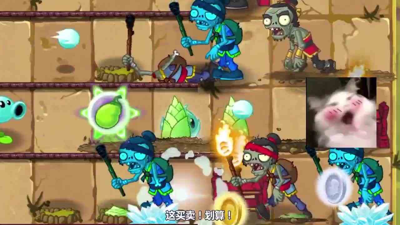 植物大战僵尸：小妹灭火，戴夫直呼内行！