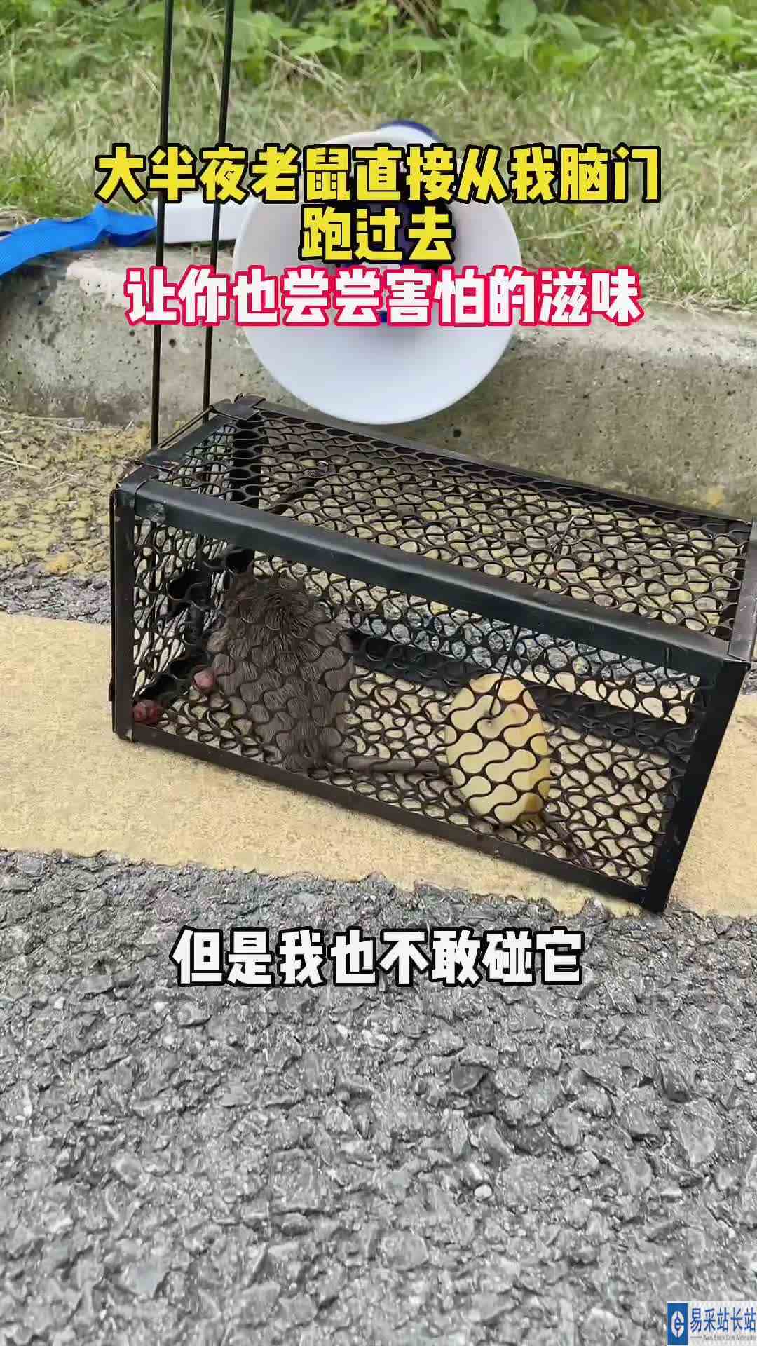是你先每天晚上吓我的，这下让你也尝尝害怕的滋味！ #天选打工人  #戏精的日常 
