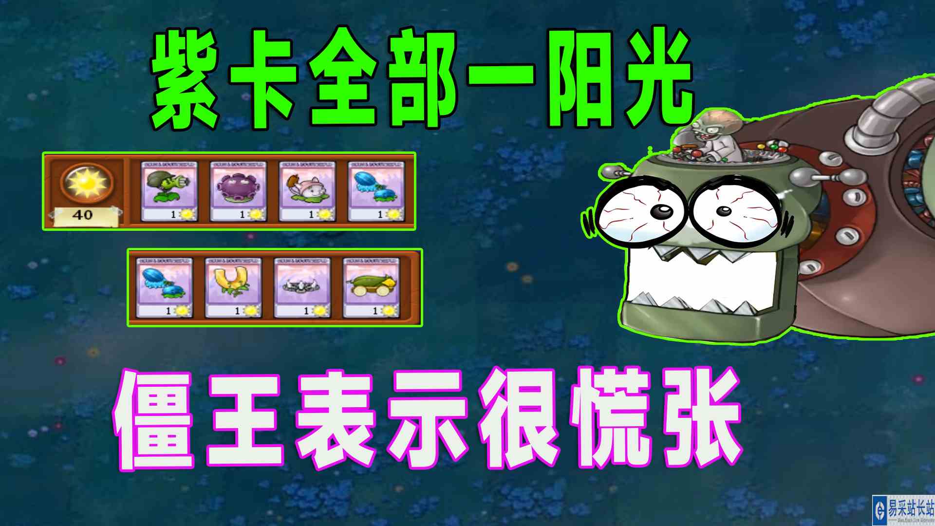 植物大战僵尸：紫卡集体大减价，但是只能选一个#植物大战僵尸