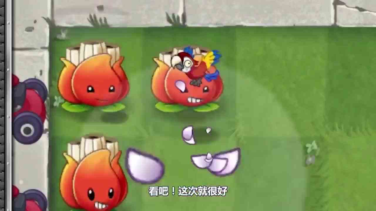 植物大战僵尸：说好的动物克星呢？怎么还是被动物偷家了！