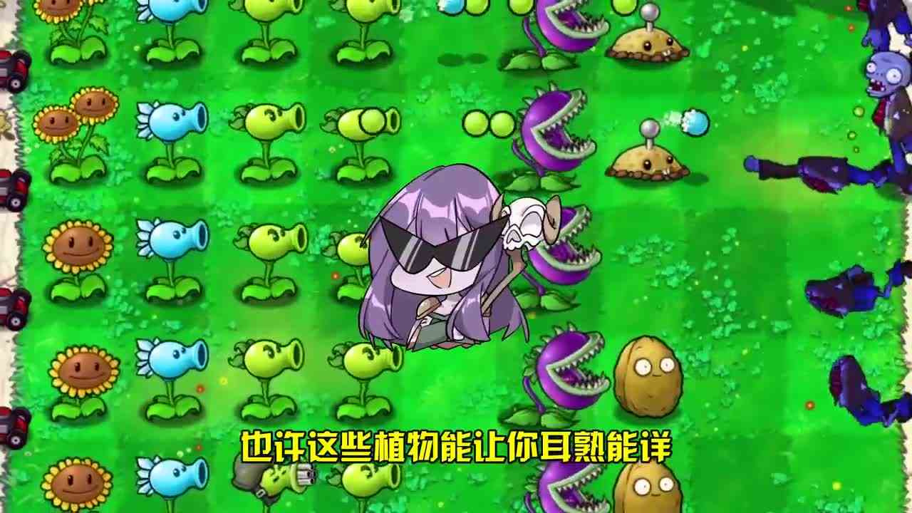 植物大战僵尸：没想到我们吃的瓜子，就是它的种子呢！