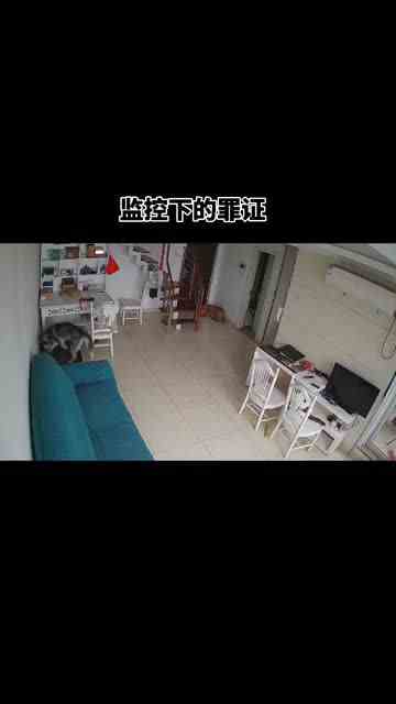 这给我气的