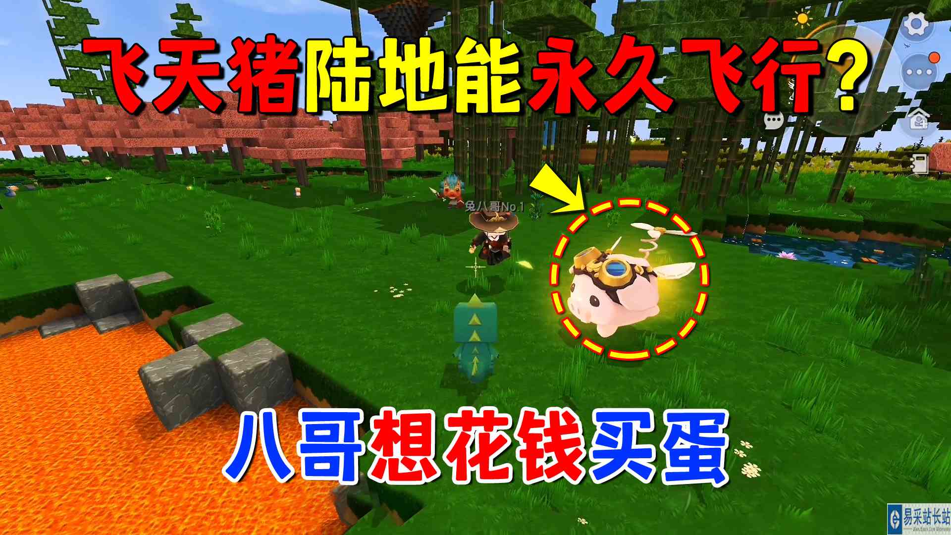 迷你世界：飞天猪陆地能永久飞行？极限生存无敌，八哥想花钱买蛋
