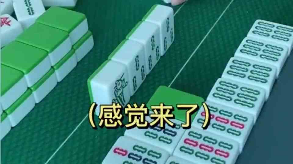 麻将：这不能抢吧？