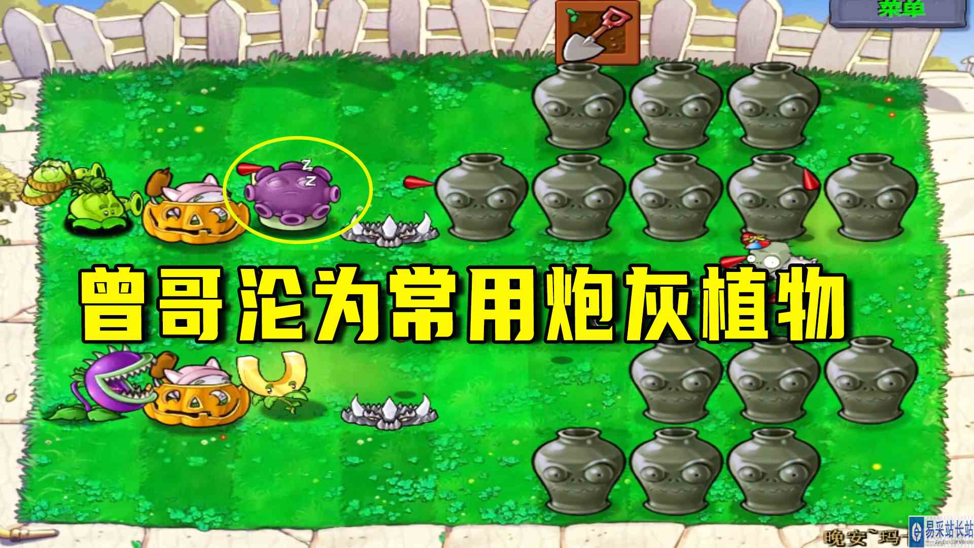 植物大战僵尸：晚安玛卡巴卡（下），曾哥沦为常用炮灰植物#植物大战僵尸#单机游戏