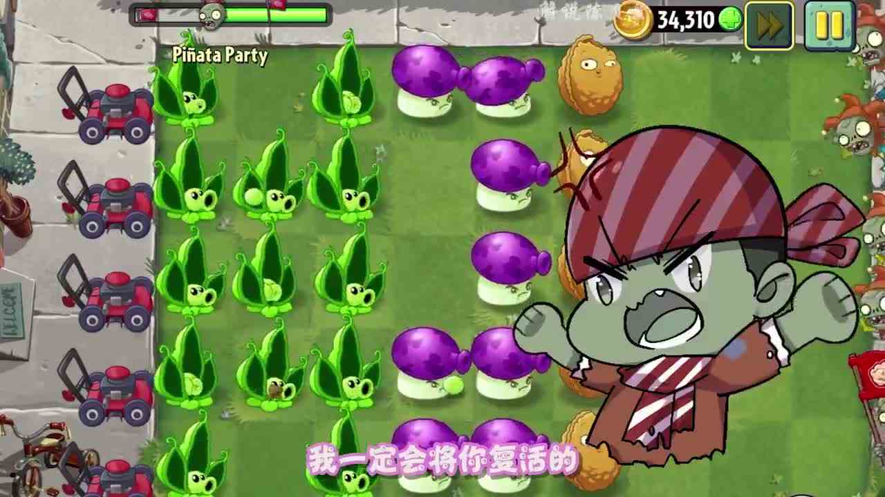 植物大战僵尸：小鬼头被改装成斗牛士？冲冲冲！