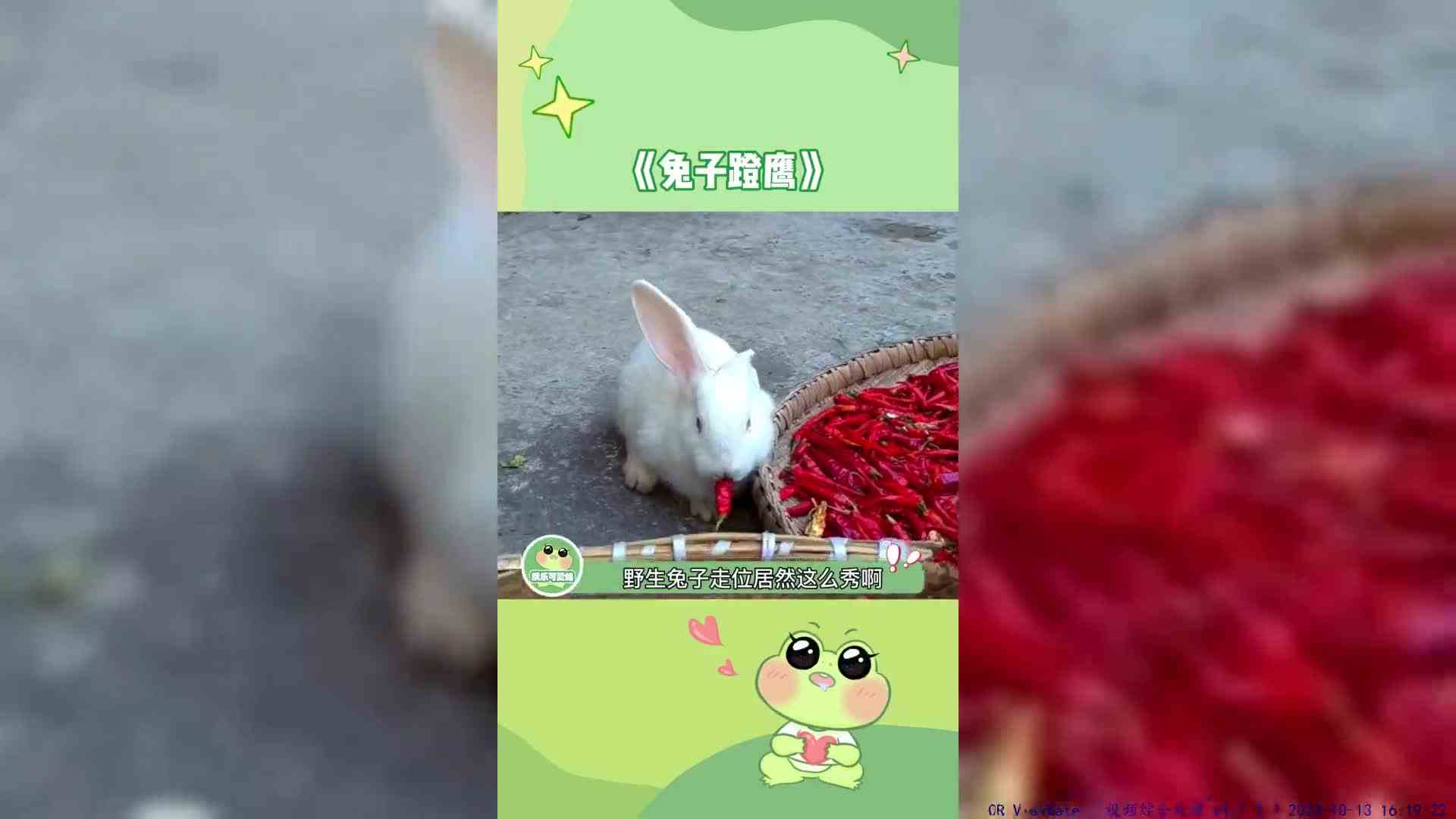#兔子 ：这把高端局，要认真了！#鹰 ：我可以失误很多次，而你只能失误一次！ 