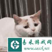 当你一个月没见女友时 动图 这狗子居然会沙暴葬送