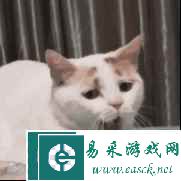 易采游戏网