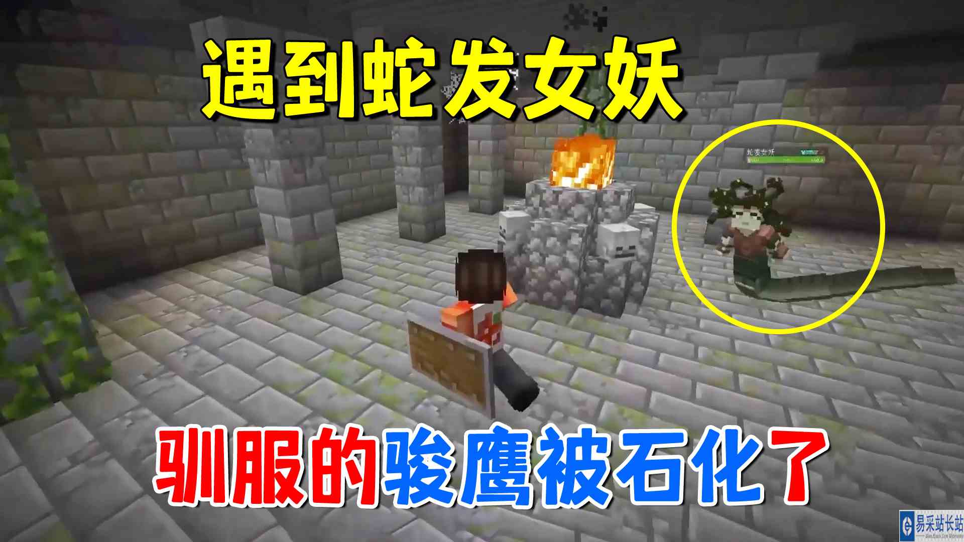我的世界冰火传说31：遇到蛇发女妖，好不容易驯服的骏鹰被石化了#我的世界#沙盒游戏