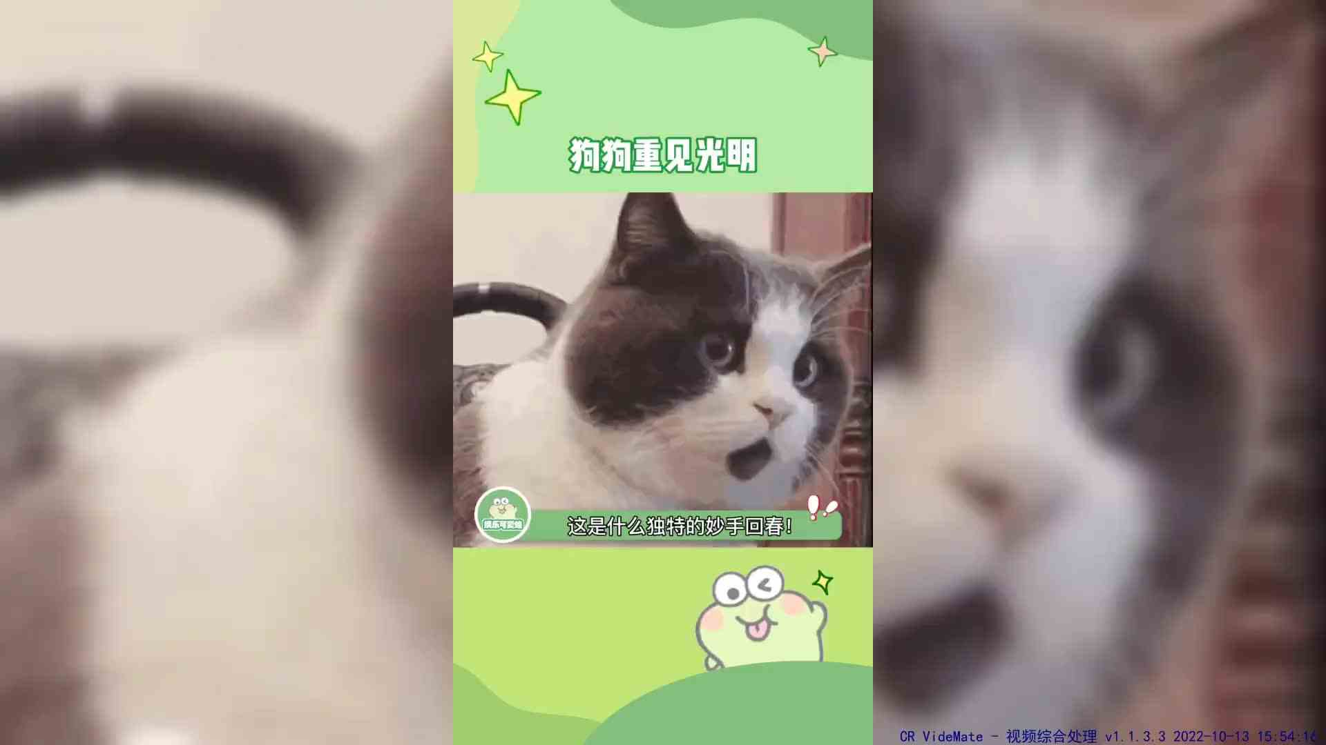：栓Q啊，这个理发师好厉害呀，一整个妙手回春，我竟然看见了！！！嗨害嗨，好久不见我的眼睛~  