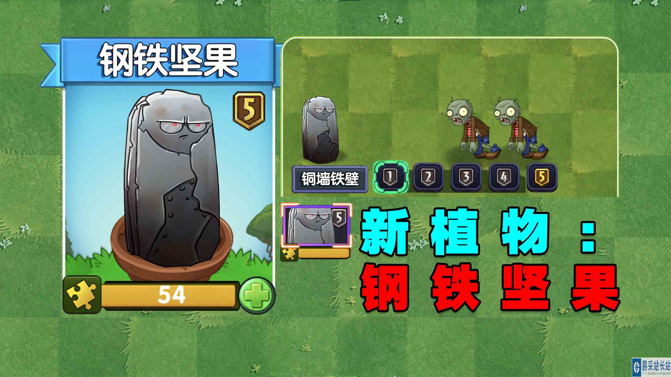 PVZ资讯：新植物“钢铁坚果”！钢铁侠直呼内行！