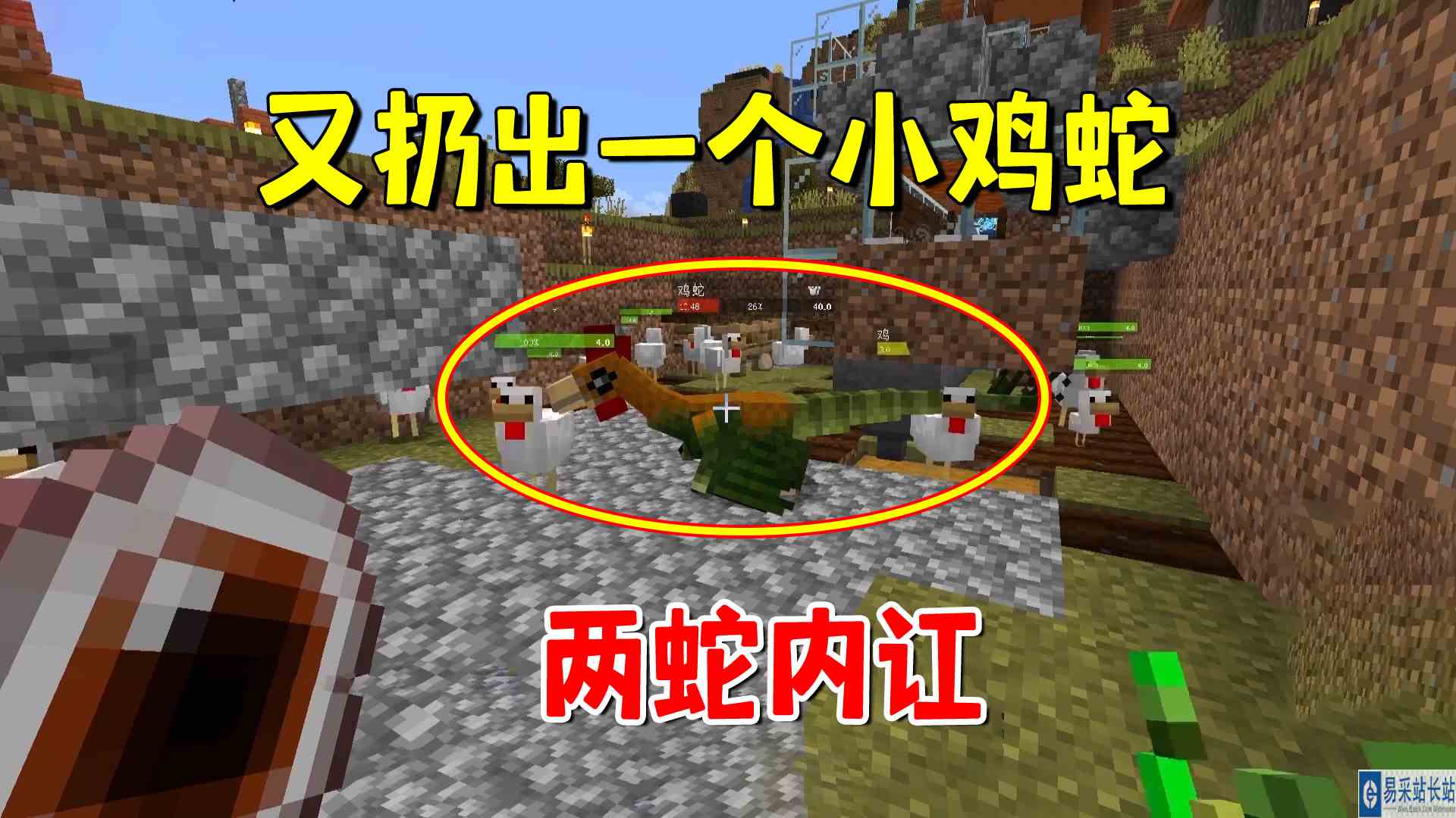 我的世界冰火传说39：又扔出一个小鸡蛇，两蛇内讧，我准备盘龙了#我的世界#沙盒游戏