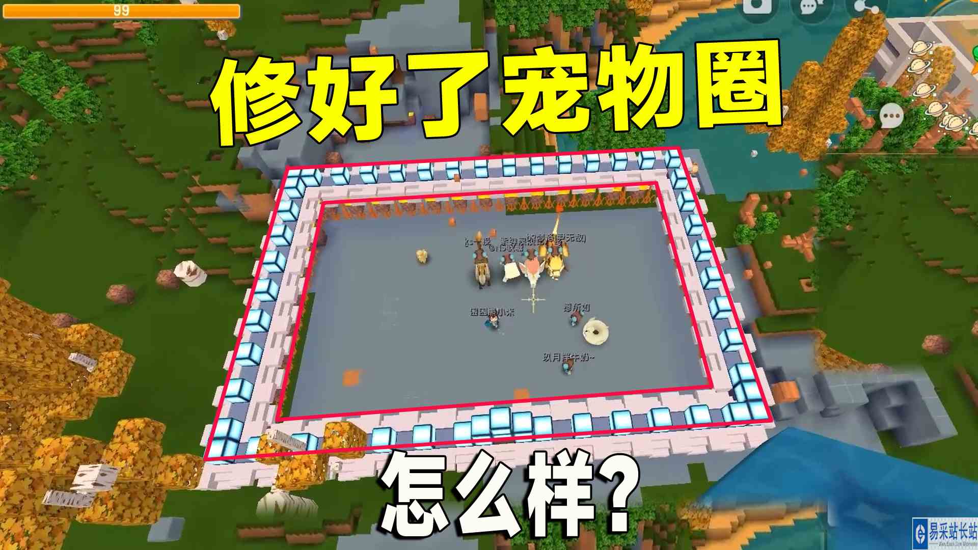 迷你世界：带粉生存32，宠物的房子修好了，坐等各种坐骑入住#迷你世界