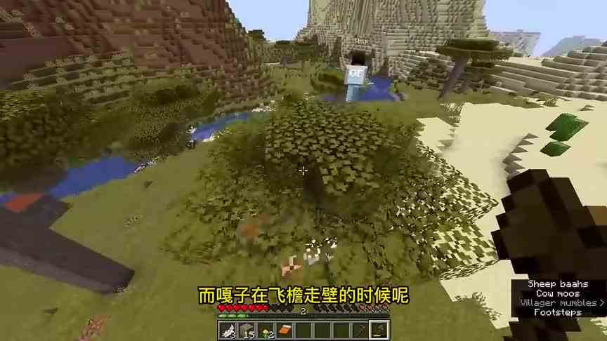 我的世界：当生物被赋予1000击退，而队友又是工具人