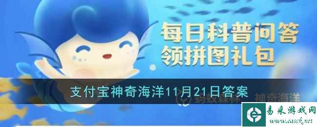 /handbook/2022/11-22/63584.shtml