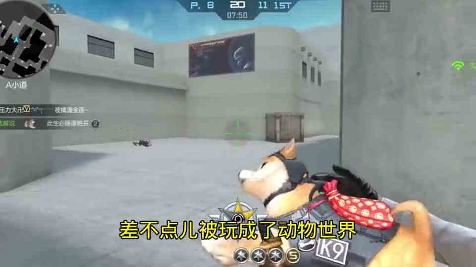 手游都开始加萌宠了，这不动物世界吗？这是萌宠集合啦#萌宠