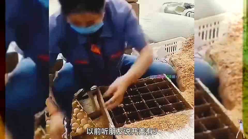 大型被坑现场，哎哟我滴妈呀！