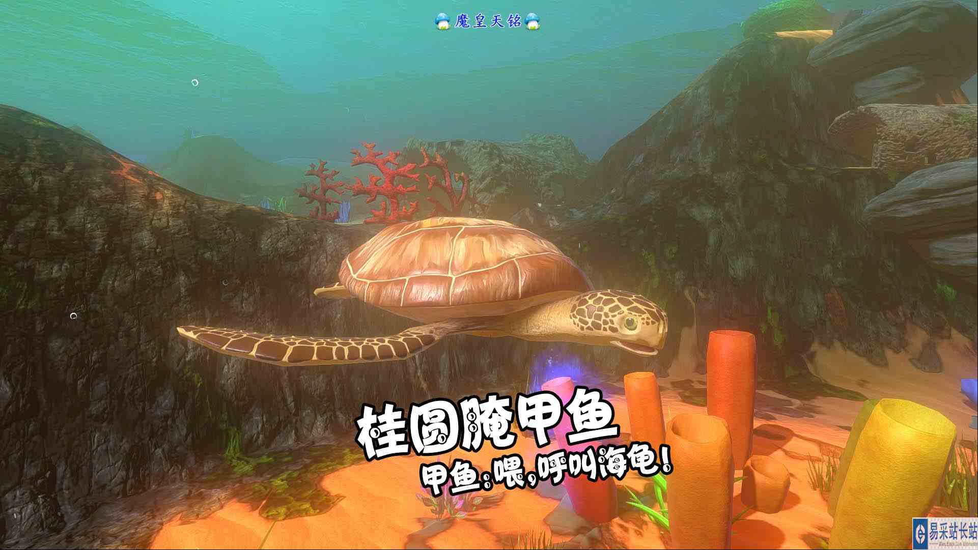 天铭 海底大猎杀 第三季 196 桂圆腌甲鱼！甲鱼：喂，呼叫海龟！#海底大猎杀#海龟