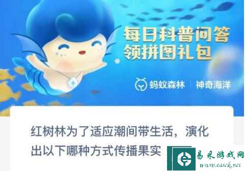 红树林为了适应潮间带生活演化出以下哪种方式传播果实