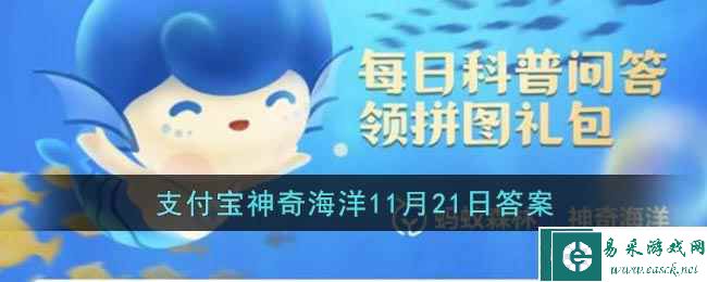 红树林为了适应潮间带生活演化出以下哪种方式传播果实