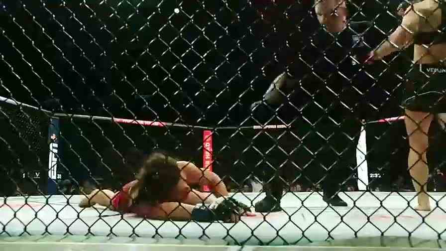 UFC281张伟丽VS饼干姐卡拉赛前前瞻：无惧