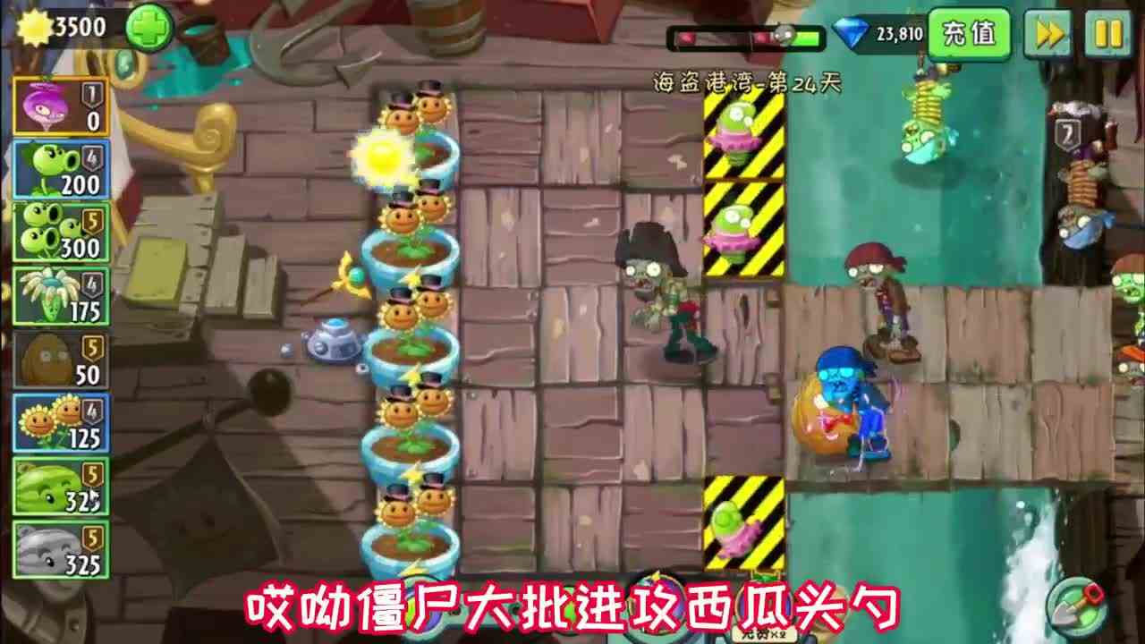 植物大战僵尸：假如西瓜投手有段位，那厨师西瓜应该是王者吧？