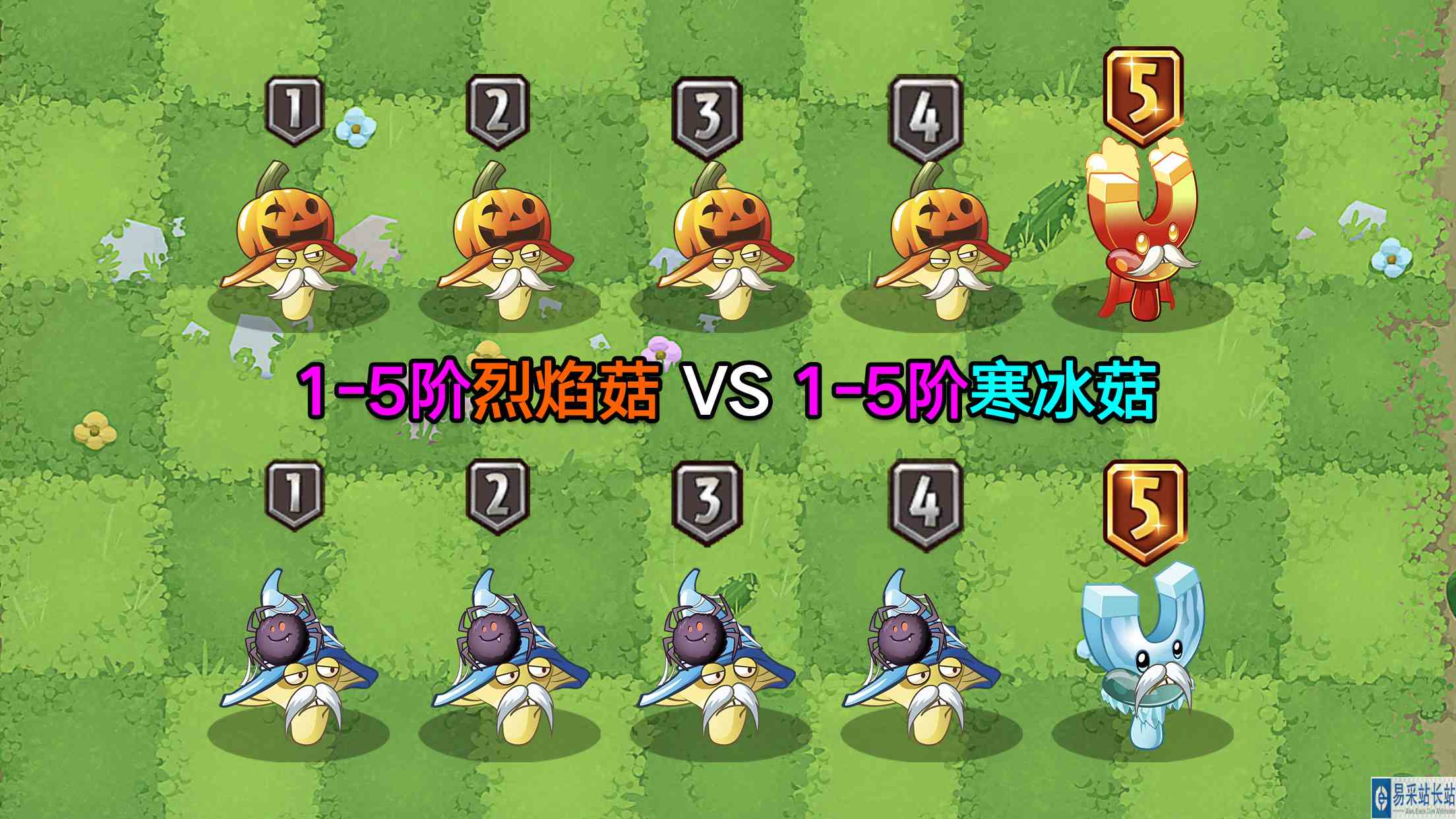 1\-5阶烈焰菇VS1\-5阶寒冰菇！打的有来有回！最终谁能略胜一筹？