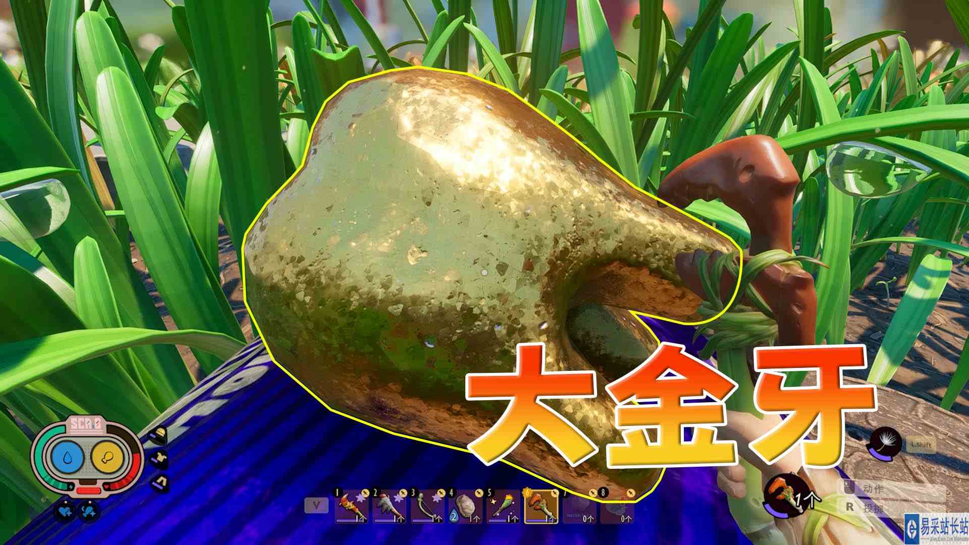 禁闭求生15：发现一块巨型金牙 价值连城 敲碎带回家