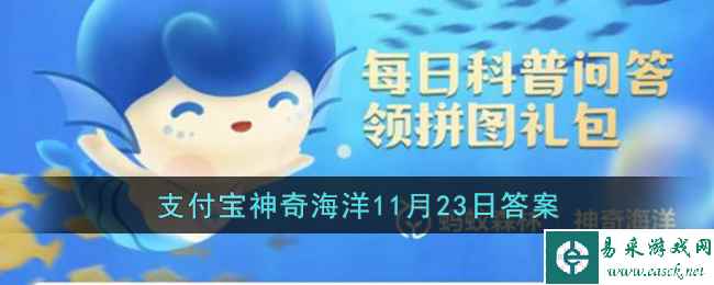 /handbook/2022/11-24/63821.shtml