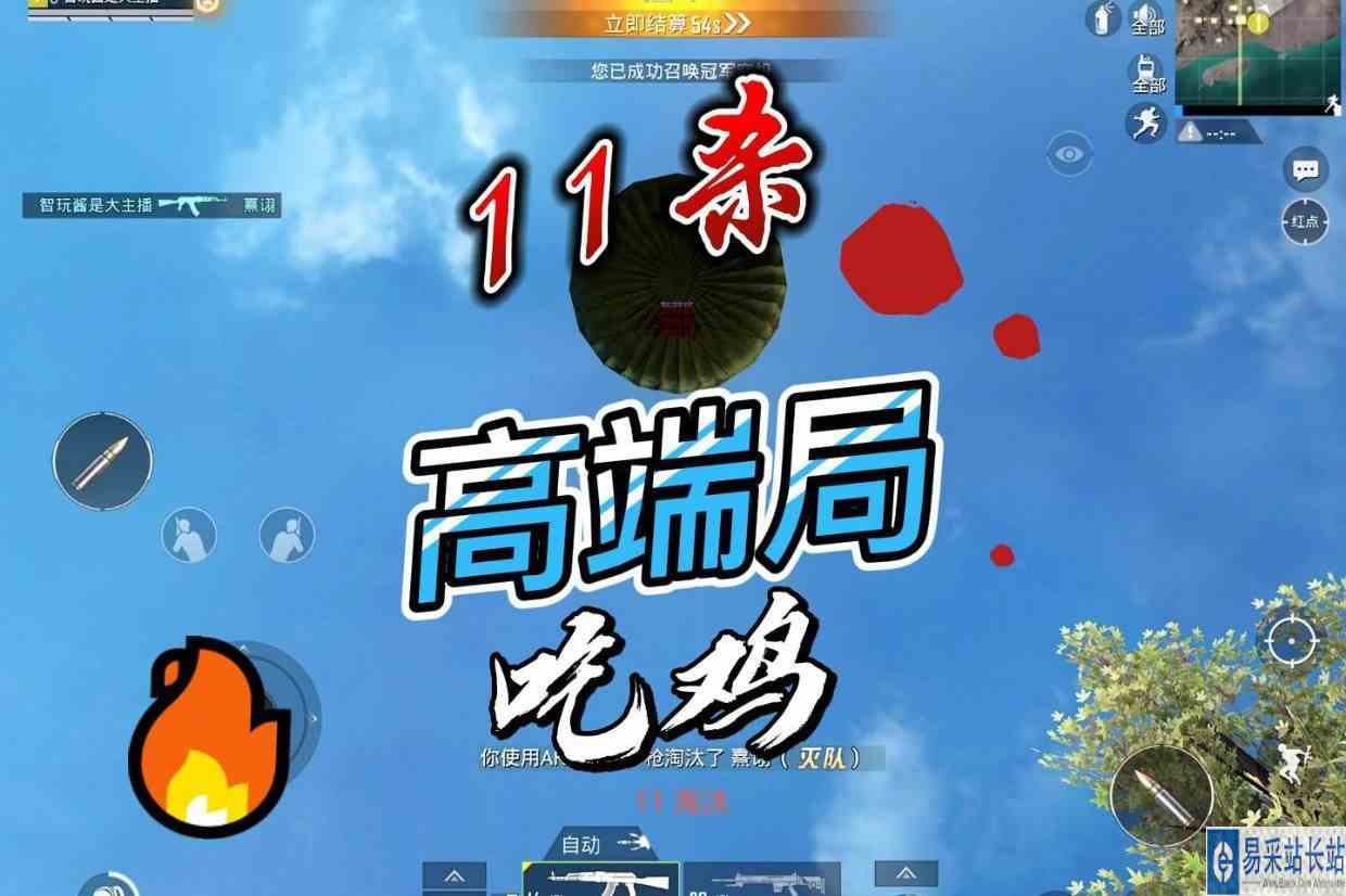和平精英：主播高端局发威，成功11杀吃鸡