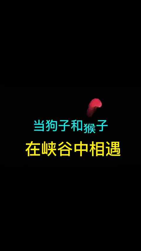 当成吉思汗和孙悟空在峡谷中相遇，这也太可怜了吧