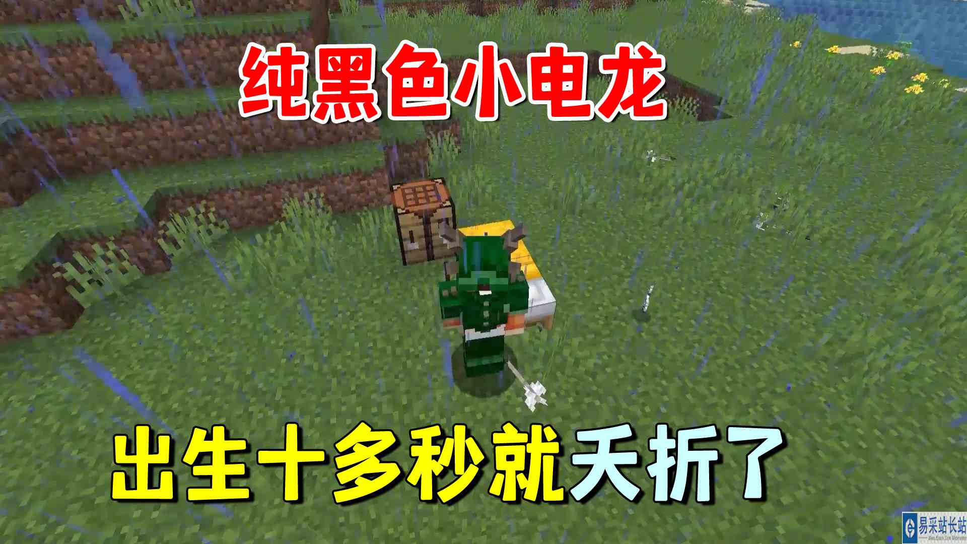 我的世界冰火传说52：纯黑色小电龙，出生十多秒就夭折了，悲痛#我的世界#沙盒游戏