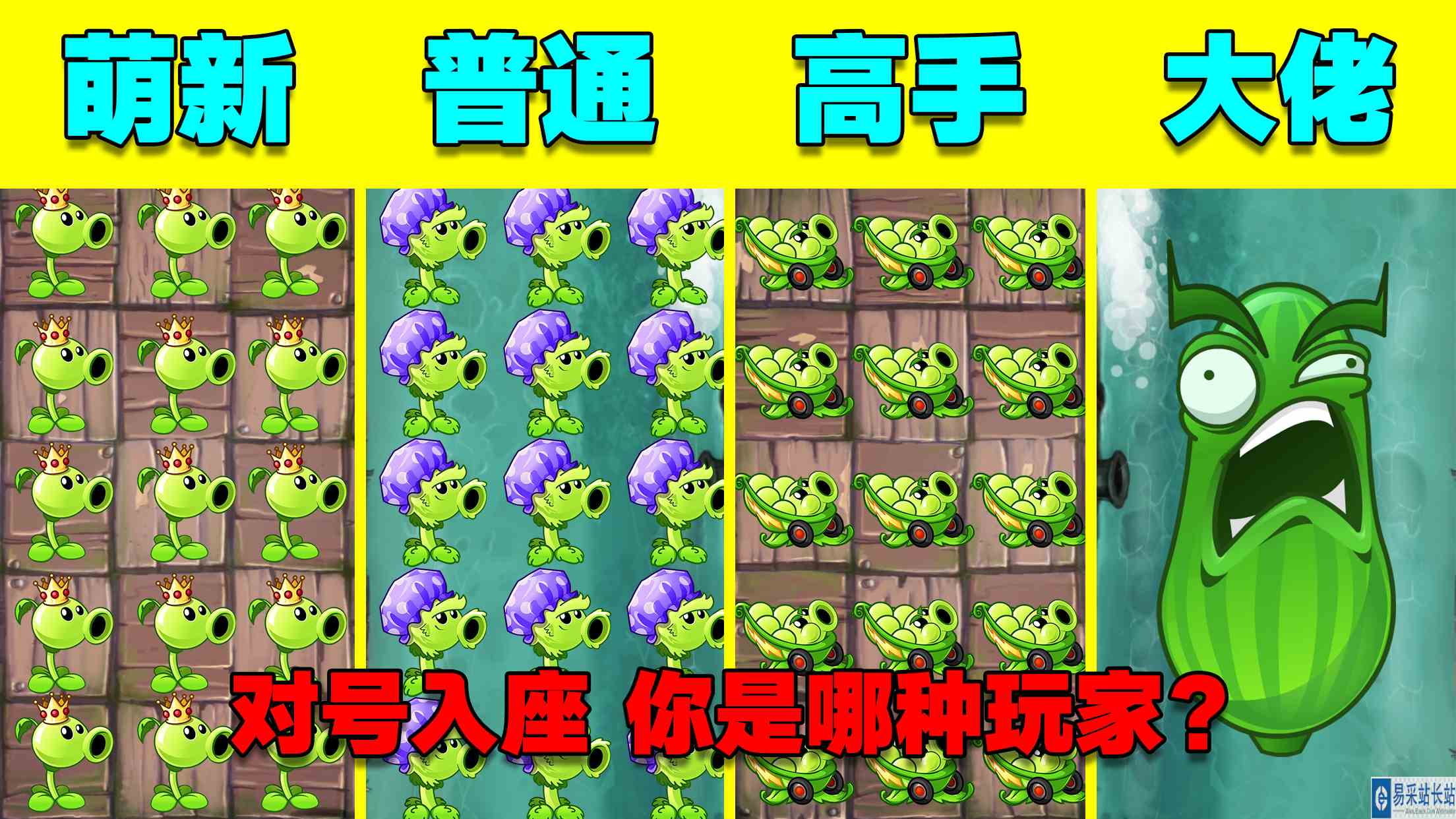 萌新玩家，普通玩家，高手玩家，大佬玩家！他们是怎么打黑龙的？