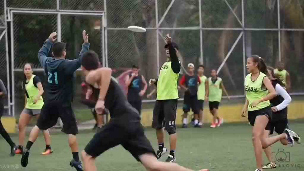 TEP 2019全年 高光集锦 极限飞盘 NK大神