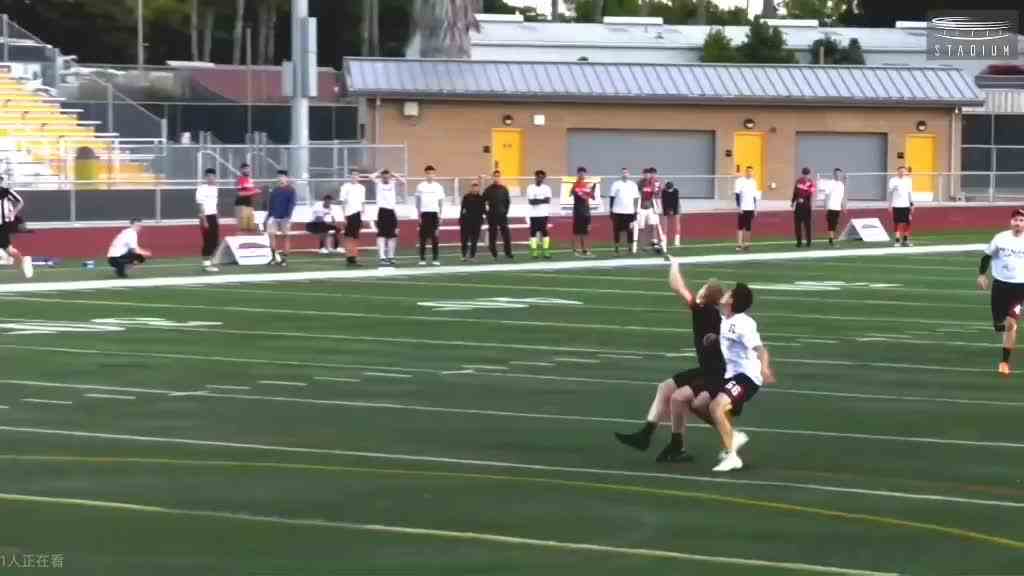 2019AUDL 季后赛十佳 上部