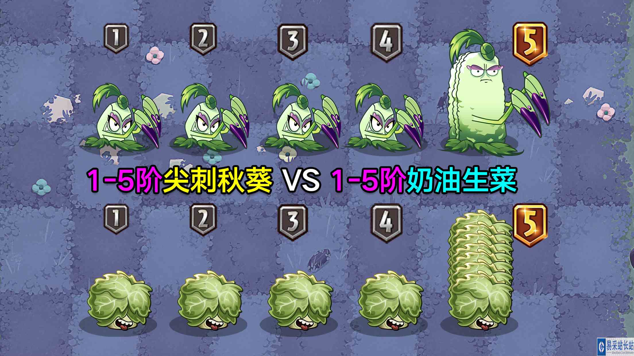 1\-5阶尖刺秋葵VS1\-5阶奶油生菜！秋葵：哪来的自信，敢挑战一姐？