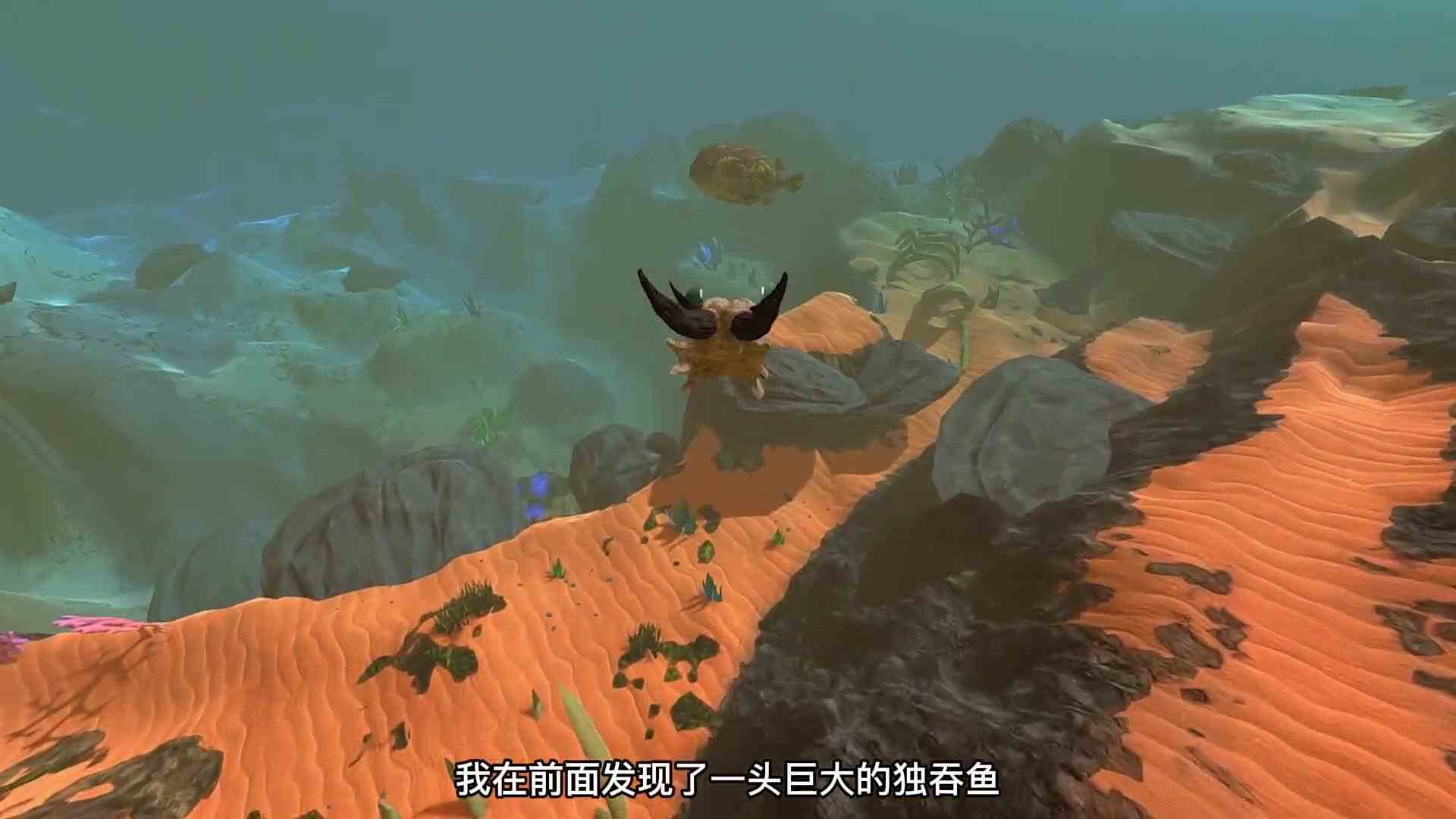 海底大猎杀：经过千辛万苦终于在神秘的深海找到了它！