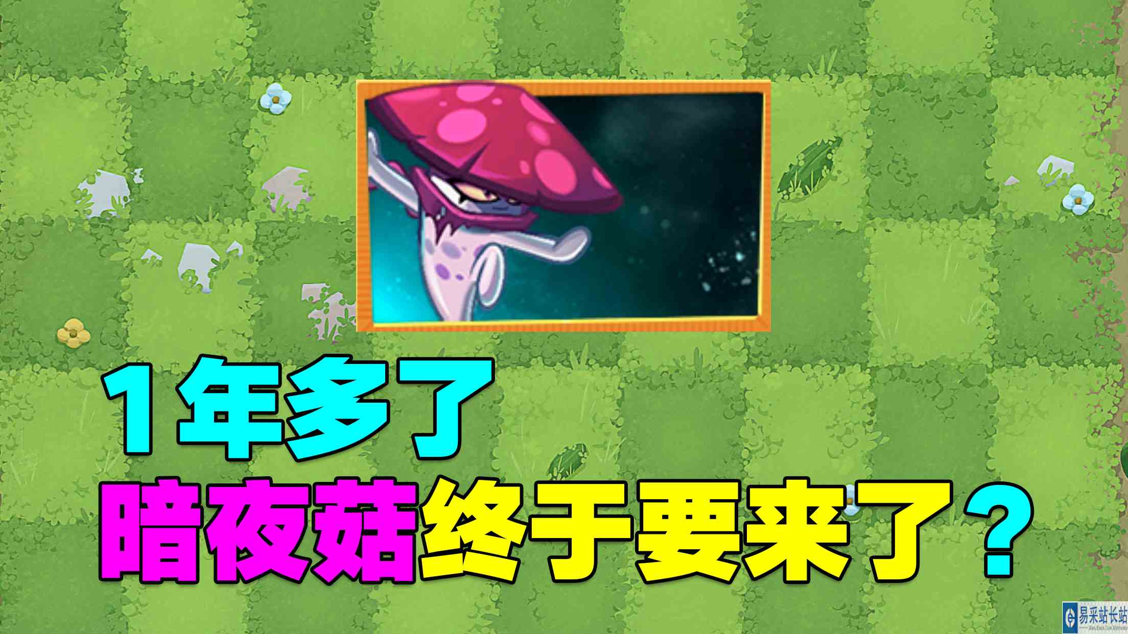 PVZ资讯：1年多了，暗夜菇终于要来了？#游戏剧场吃瓜看戏