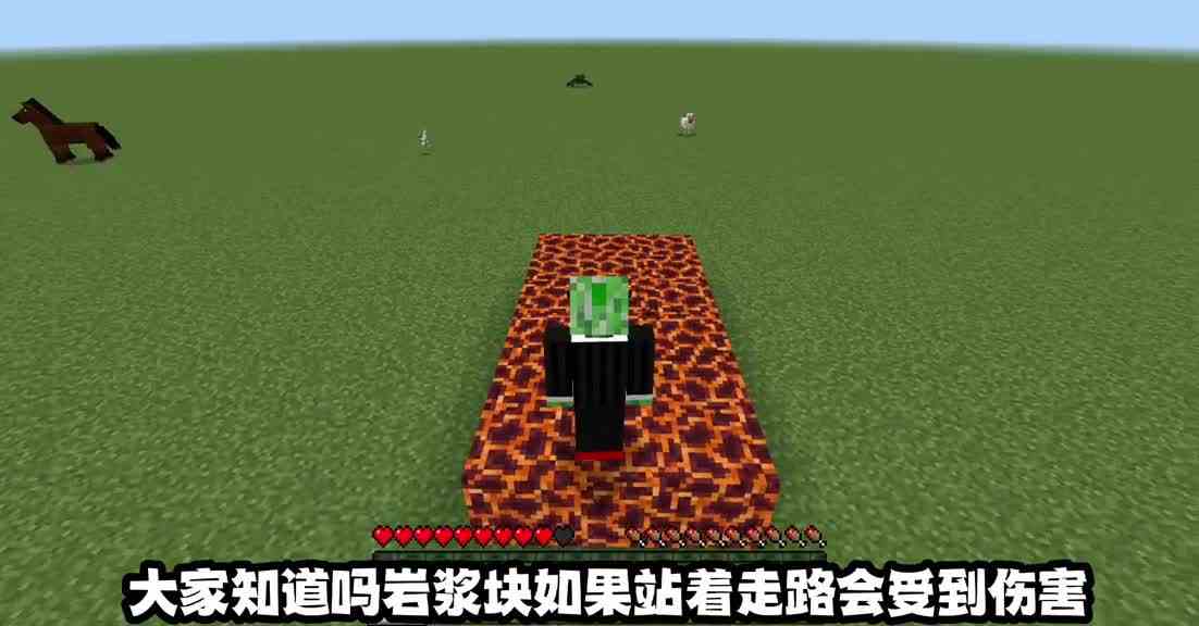 我的世界：MC不为人知的冷知识 