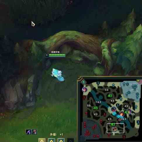 看到扫描那一刻，提莫心都凉了