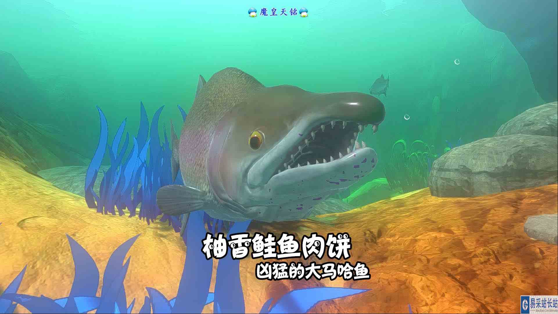 天铭 海底大猎杀 第三季 199 柚香鲑鱼肉饼！凶猛的大马哈鱼！#海底大猎杀#大马哈鱼