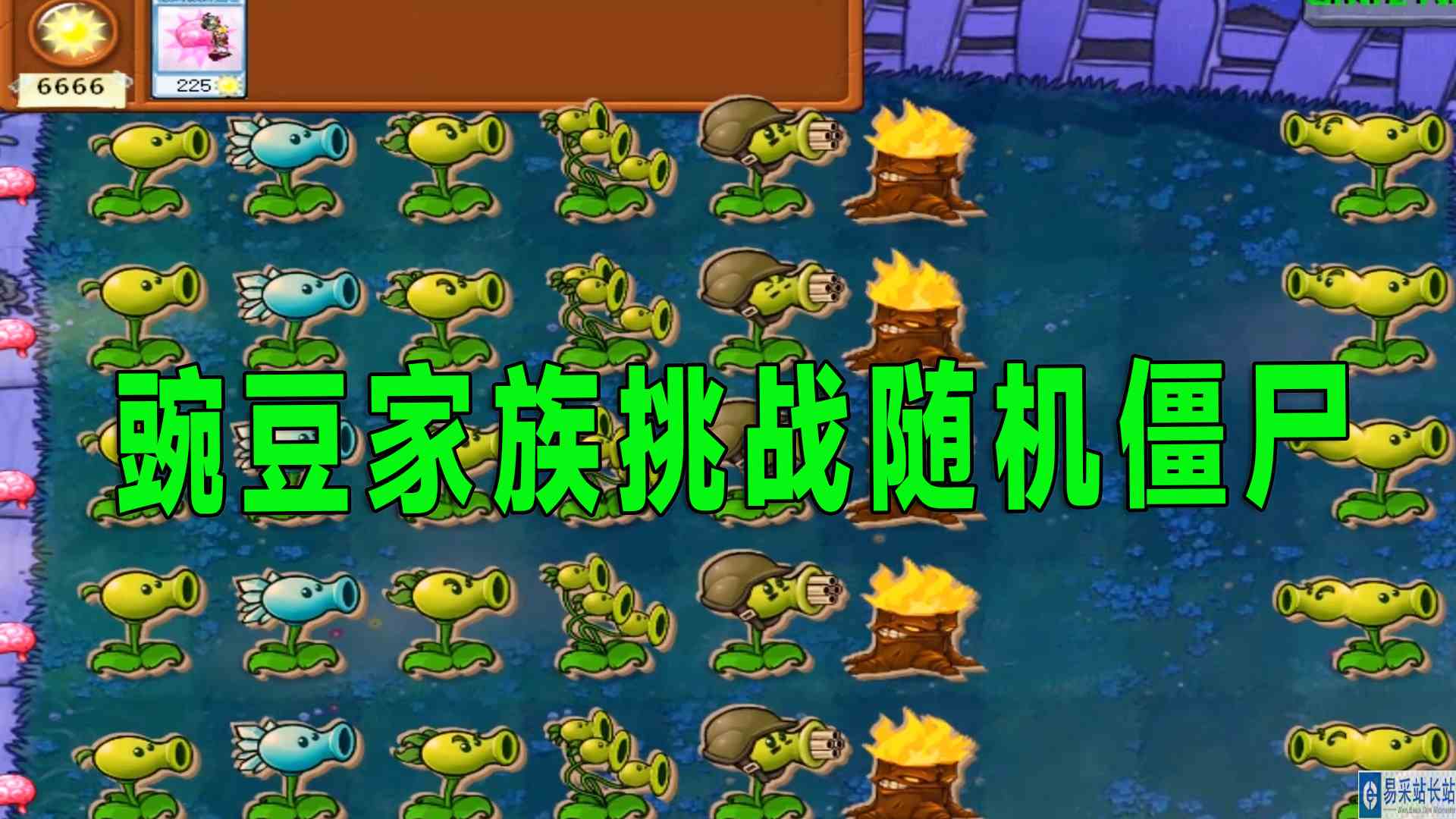 植物大战僵尸：豌豆家族挑战随机僵尸，红眼大哥极限食脑#植物大战僵尸