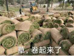 /review/2022/12-07/65139.shtml