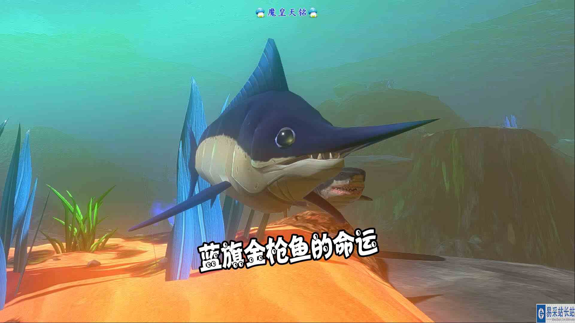 天铭 海底大猎杀 第三季 200 法式海鲜烩，蓝旗金枪鱼的命运！#海底大猎杀#金枪鱼