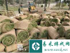 会呼吸的江湖全维飞跃,《逆水寒》颠覆网游刻板认知