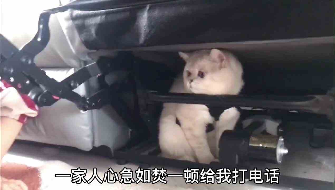 爹得好大儿啊，这个躲猫猫可不好玩，以后千万别这么玩了，心脏受不了